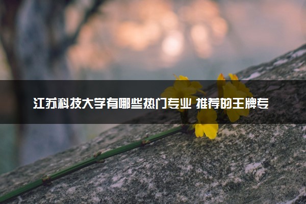 江苏科技大学有哪些热门专业 推荐的王牌专业