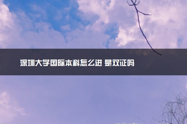 深圳大学国际本科怎么进 是双证吗