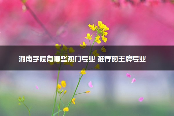湘南学院有哪些热门专业 推荐的王牌专业