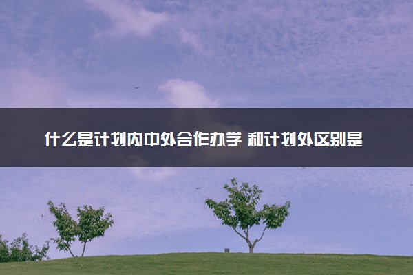 什么是计划内中外合作办学 和计划外区别是什么