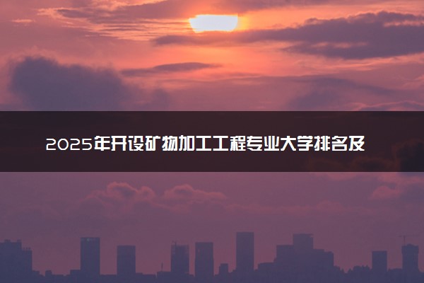 2025年开设矿物加工工程专业大学排名及评级 高校排行榜