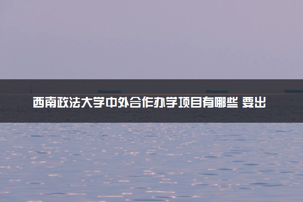 西南政法大学中外合作办学项目有哪些 要出国吗