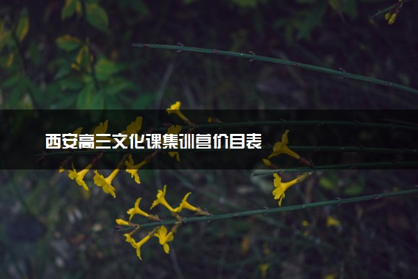 西安高三文化课集训营价目表