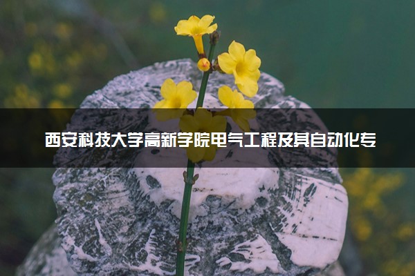 西安科技大学高新学院电气工程及其自动化专业怎么样 录取分数线多少