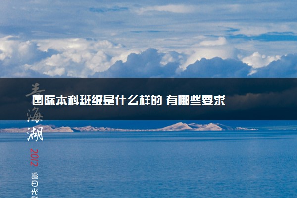 国际本科班级是什么样的 有哪些要求
