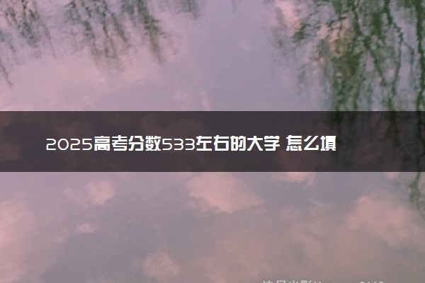 2025高考分数533左右的大学 怎么填报志愿