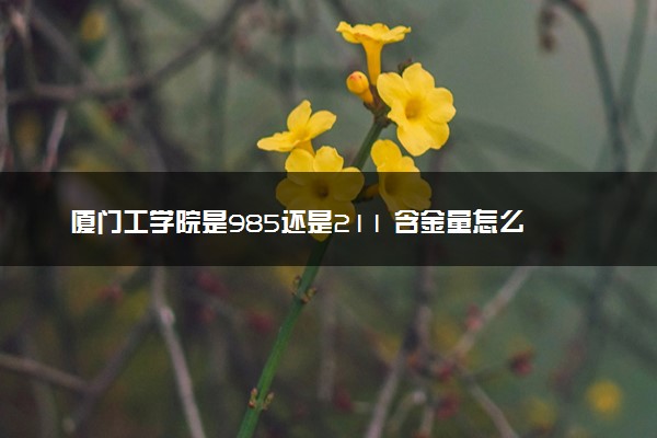 厦门工学院是985还是211 含金量怎么样