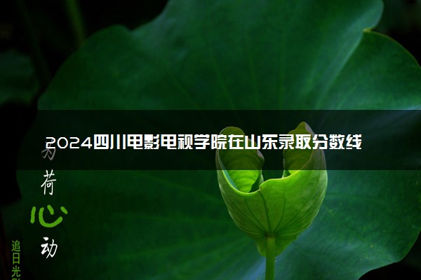 2024四川电影电视学院在山东录取分数线 各专业分数及位次
