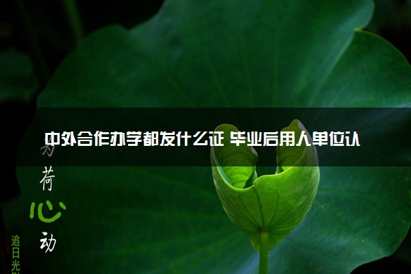 中外合作办学都发什么证 毕业后用人单位认可吗