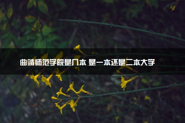 曲靖师范学院是几本 是一本还是二本大学