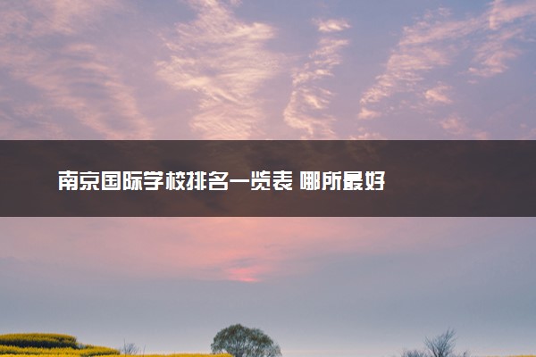 南京国际学校排名一览表 哪所最好