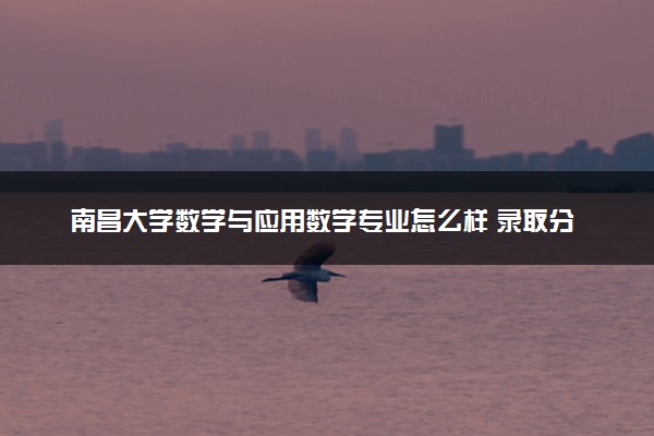 南昌大学数学与应用数学专业怎么样 录取分数线多少