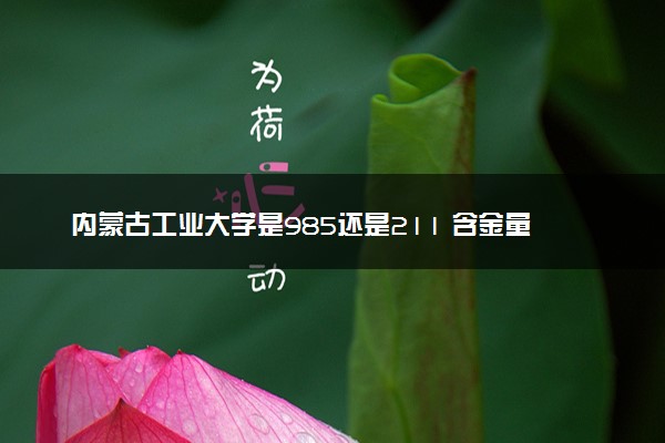 内蒙古工业大学是985还是211 含金量怎么样