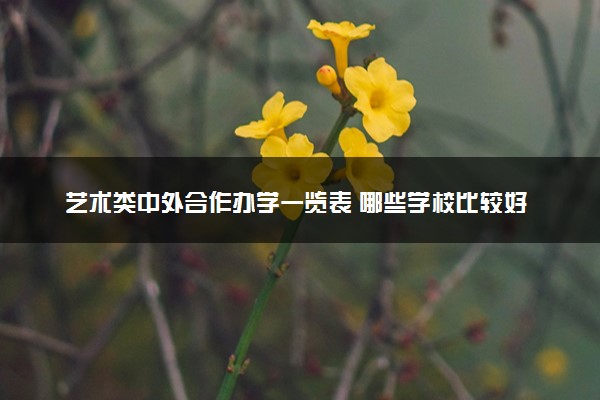 艺术类中外合作办学一览表 哪些学校比较好