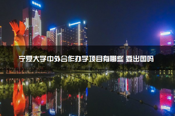 宁夏大学中外合作办学项目有哪些 要出国吗