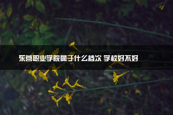 东营职业学院属于什么档次 学校好不好