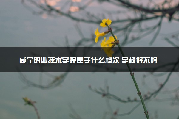 咸宁职业技术学院属于什么档次 学校好不好