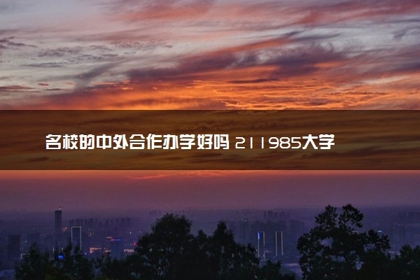 名校的中外合作办学好吗 211985大学怎么样