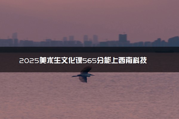 2025美术生文化课565分能上西南科技大学吗
