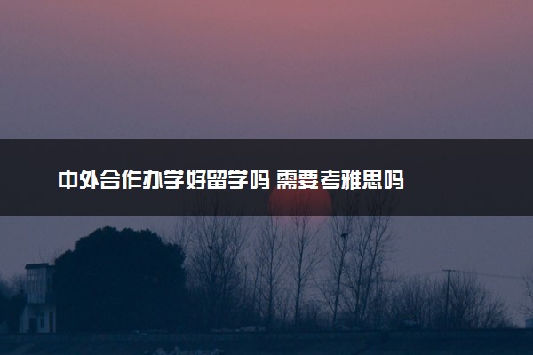 中外合作办学好留学吗 需要考雅思吗