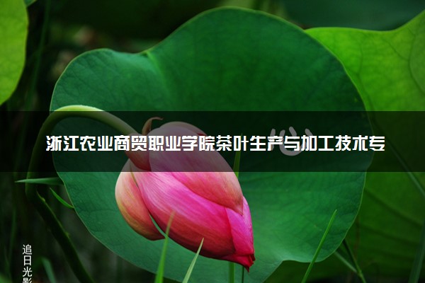 浙江农业商贸职业学院茶叶生产与加工技术专业怎么样 录取分数线多少