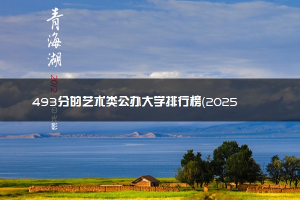 493分的艺术类公办大学排行榜（2025考生参考)
