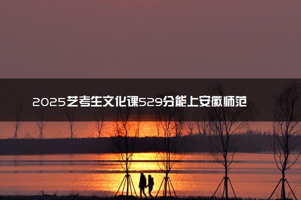 2025艺考生文化课529分能上安徽师范大学吗