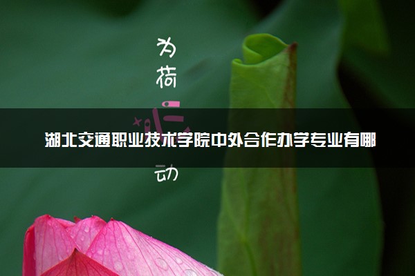 湖北交通职业技术学院中外合作办学专业有哪些 好就业吗
