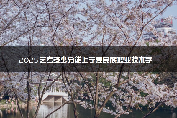 2025艺考多少分能上宁夏民族职业技术学院 最低分数线是多少