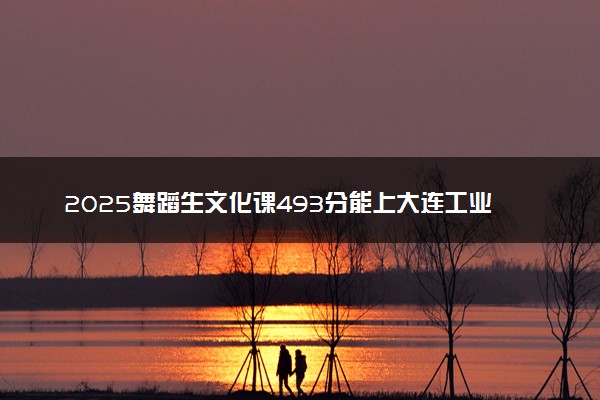2025舞蹈生文化课493分能上大连工业大学吗