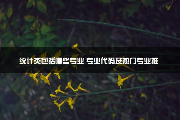 统计类包括哪些专业 专业代码及热门专业推荐