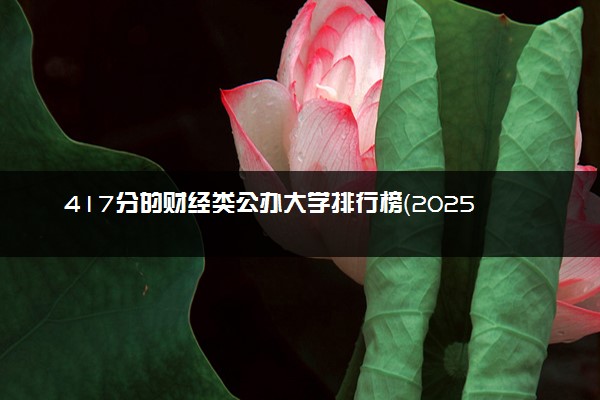 417分的财经类公办大学排行榜（2025考生参考)