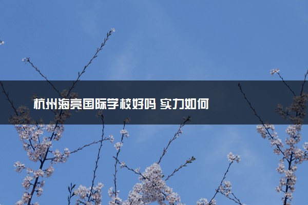 杭州海亮国际学校好吗 实力如何