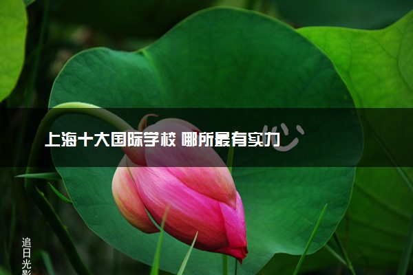 上海十大国际学校 哪所最有实力