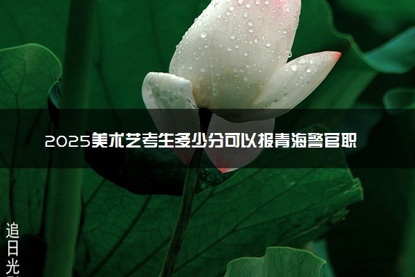 2025美术艺考生多少分可以报青海警官职业学院