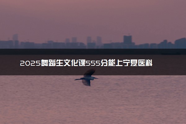 2025舞蹈生文化课555分能上宁夏医科大学吗