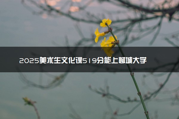 2025美术生文化课519分能上聊城大学吗