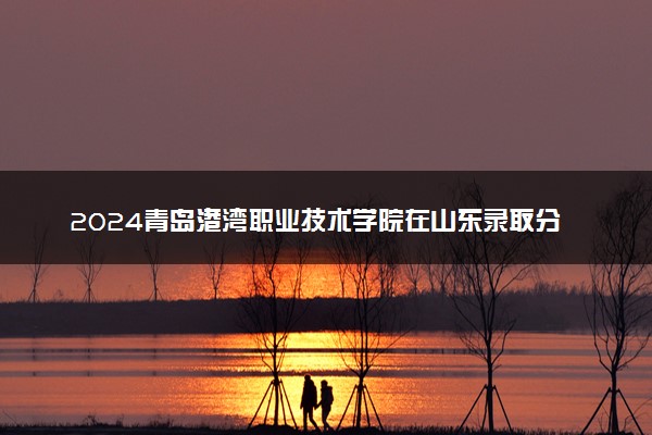 2024青岛港湾职业技术学院在山东录取分数线 各专业分数及位次