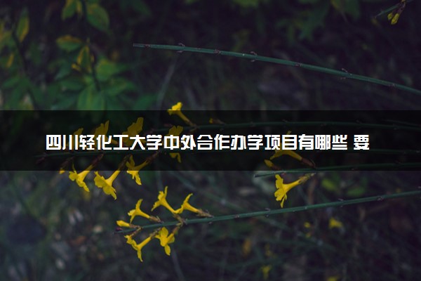 四川轻化工大学中外合作办学项目有哪些 要出国吗