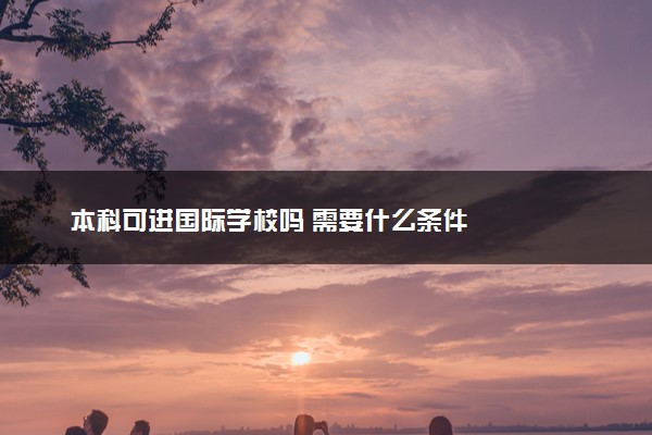 本科可进国际学校吗 需要什么条件