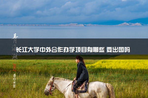 长江大学中外合作办学项目有哪些 要出国吗