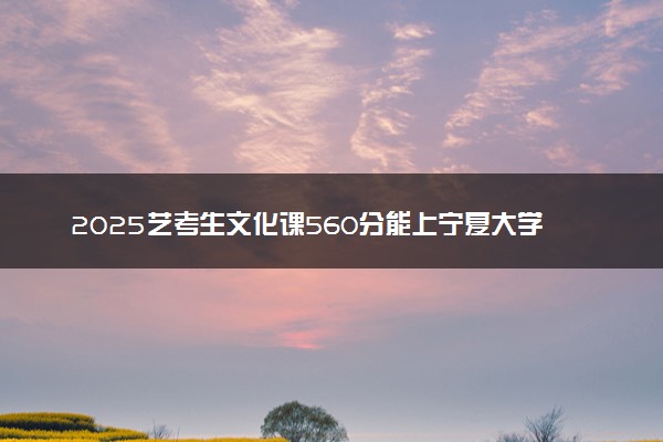 2025艺考生文化课560分能上宁夏大学吗
