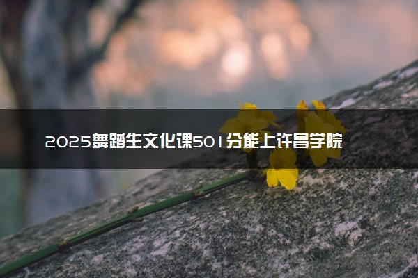 2025舞蹈生文化课501分能上许昌学院吗