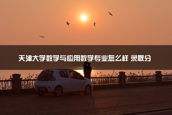 天津大学数学与应用数学专业怎么样 录取分数线多少