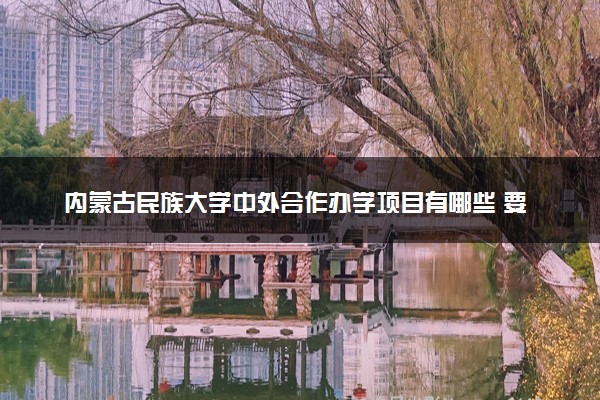 内蒙古民族大学中外合作办学项目有哪些 要出国吗
