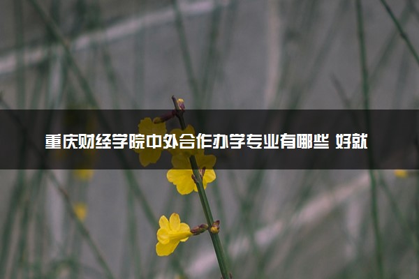 重庆财经学院中外合作办学专业有哪些 好就业吗