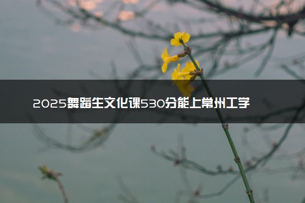 2025舞蹈生文化课530分能上常州工学院吗