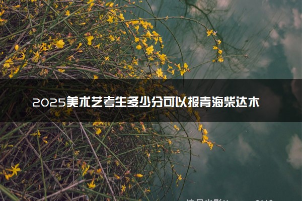 2025美术艺考生多少分可以报青海柴达木职业技术学院