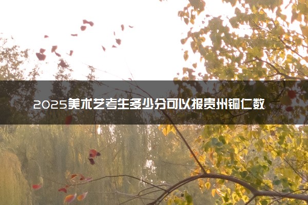 2025美术艺考生多少分可以报贵州铜仁数据职业学院