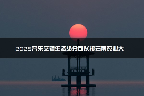 2025音乐艺考生多少分可以报云南农业大学